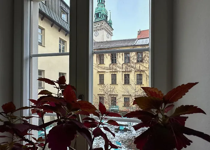 Mitte * Brno