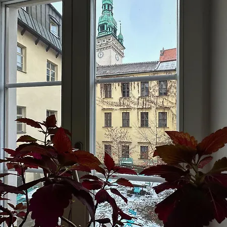 Mitte * Brno