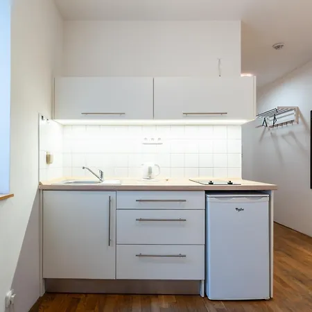 Apartment Mitte