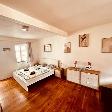 Apartment Mitte